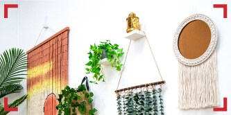 Parede com plantas.
